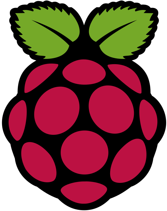 Raspberry Pi Icon