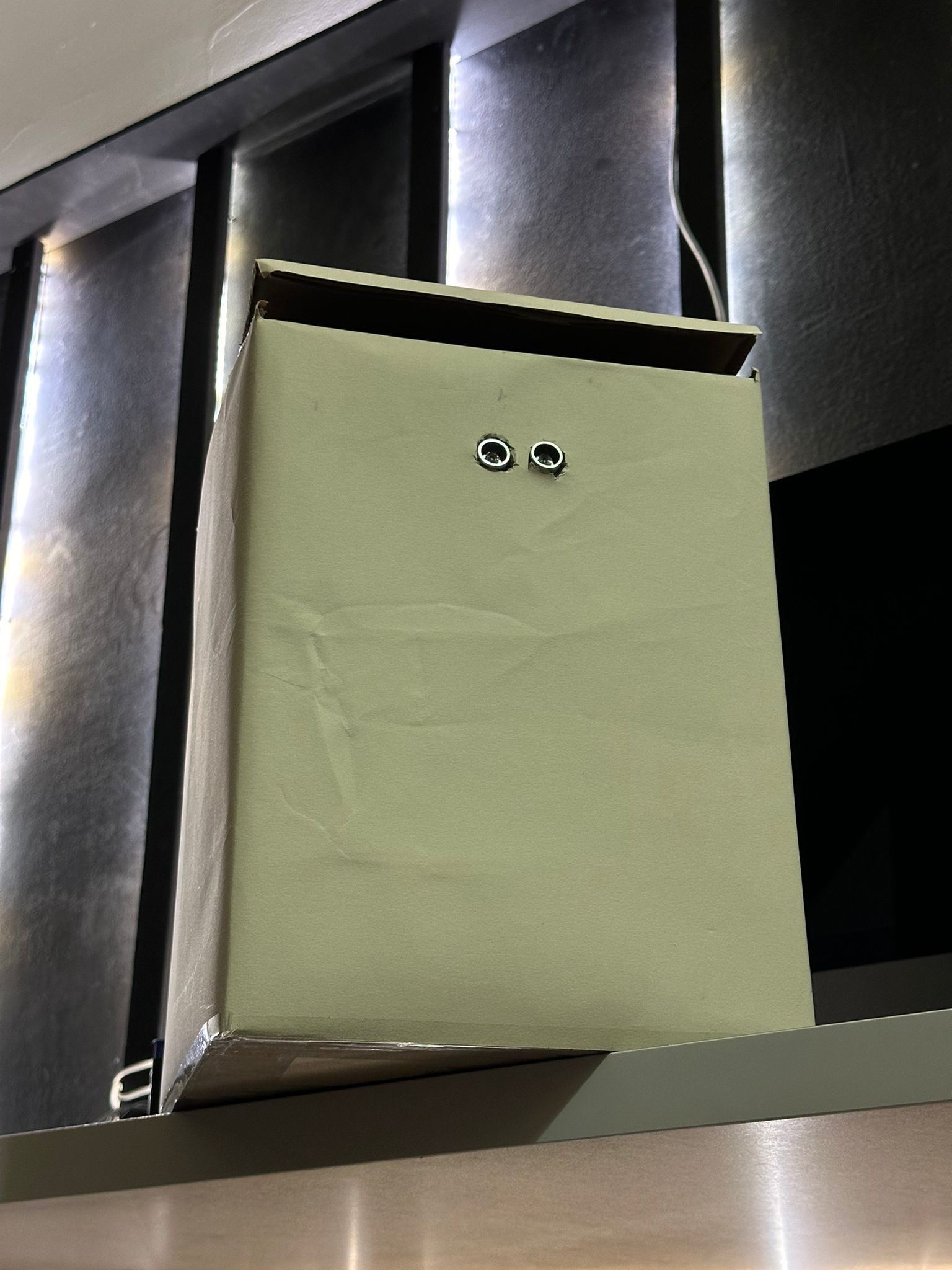 Trashcan Project Photo